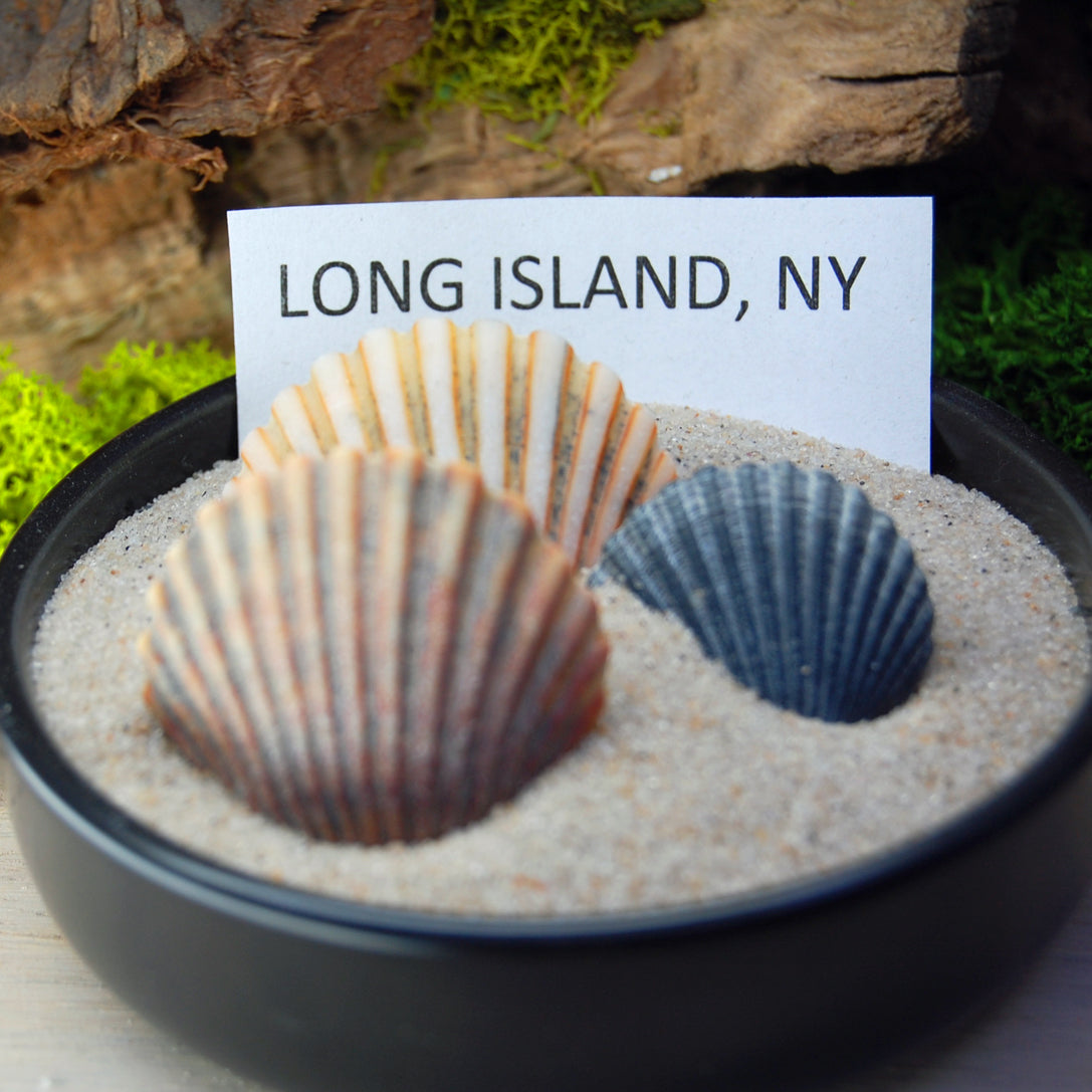 NEW YORK Beach Sand Wedding Rings - How Earthy Materials Like Sand, Dirt and Rocks Can Symbolize Your Unique Love Story