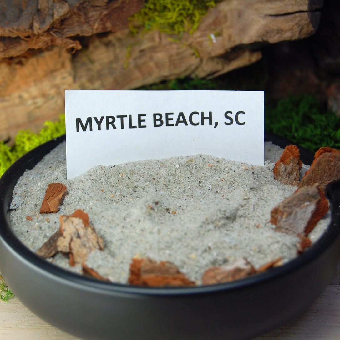 SOUTH CAROLINA Beach Sand Wedding Rings - How Earthy Materials Like Sand, Dirt and Rocks Can Symbolize Your Unique Love Story