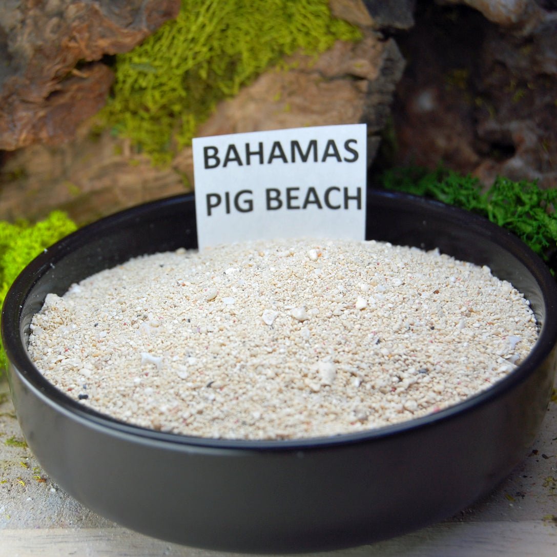 BAHAMAS Beach Sand Wedding Rings - How Earthy Materials Like Sand, Dirt and Rocks Can Symbolize Your Unique Love Story - Minter and Richter Designs