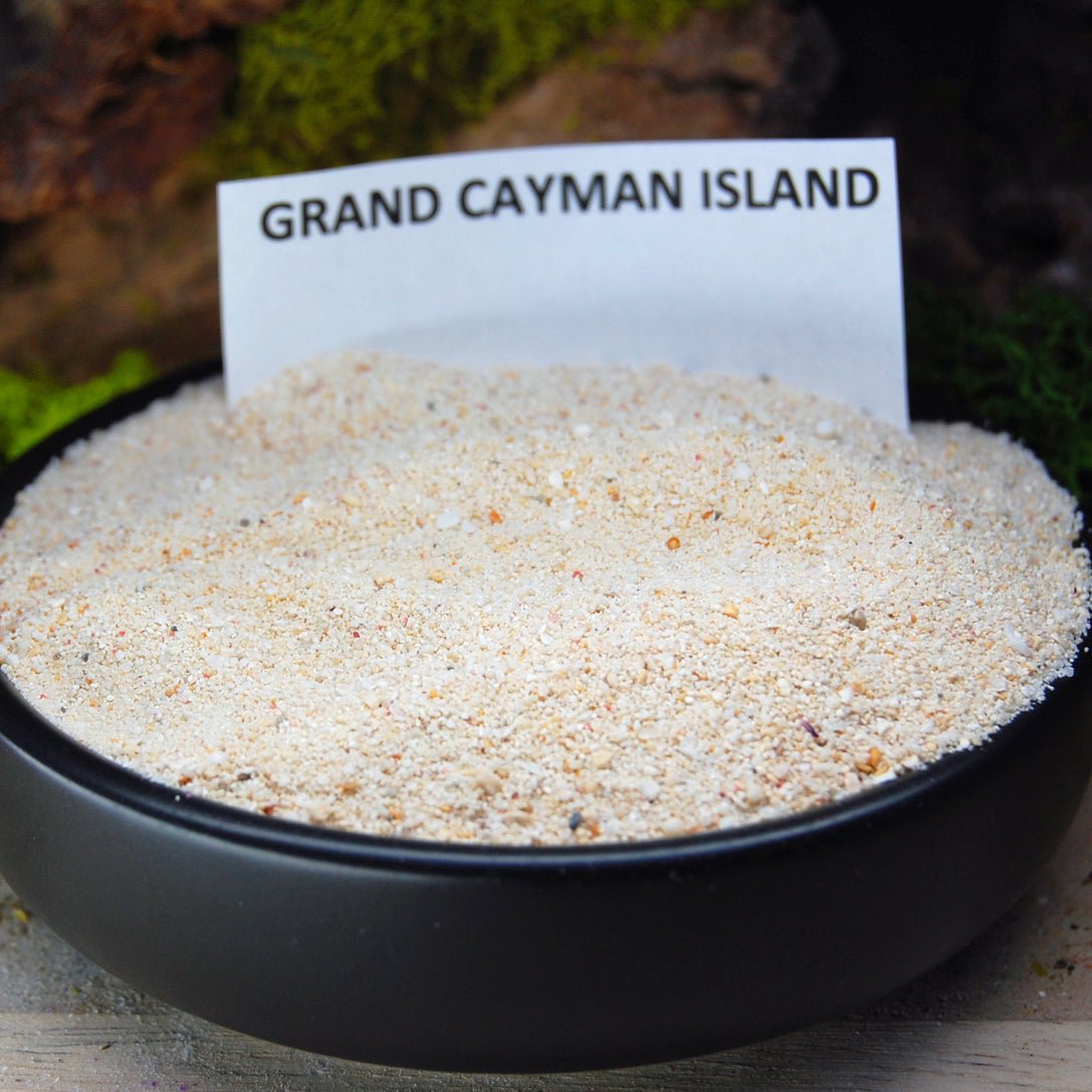 CAYMAN ISLANDS Beach Sand Wedding Rings - How Earthy Materials Like Sand, Dirt and Rocks Can Symbolize Your Unique Love Story - Minter and Richter Designs