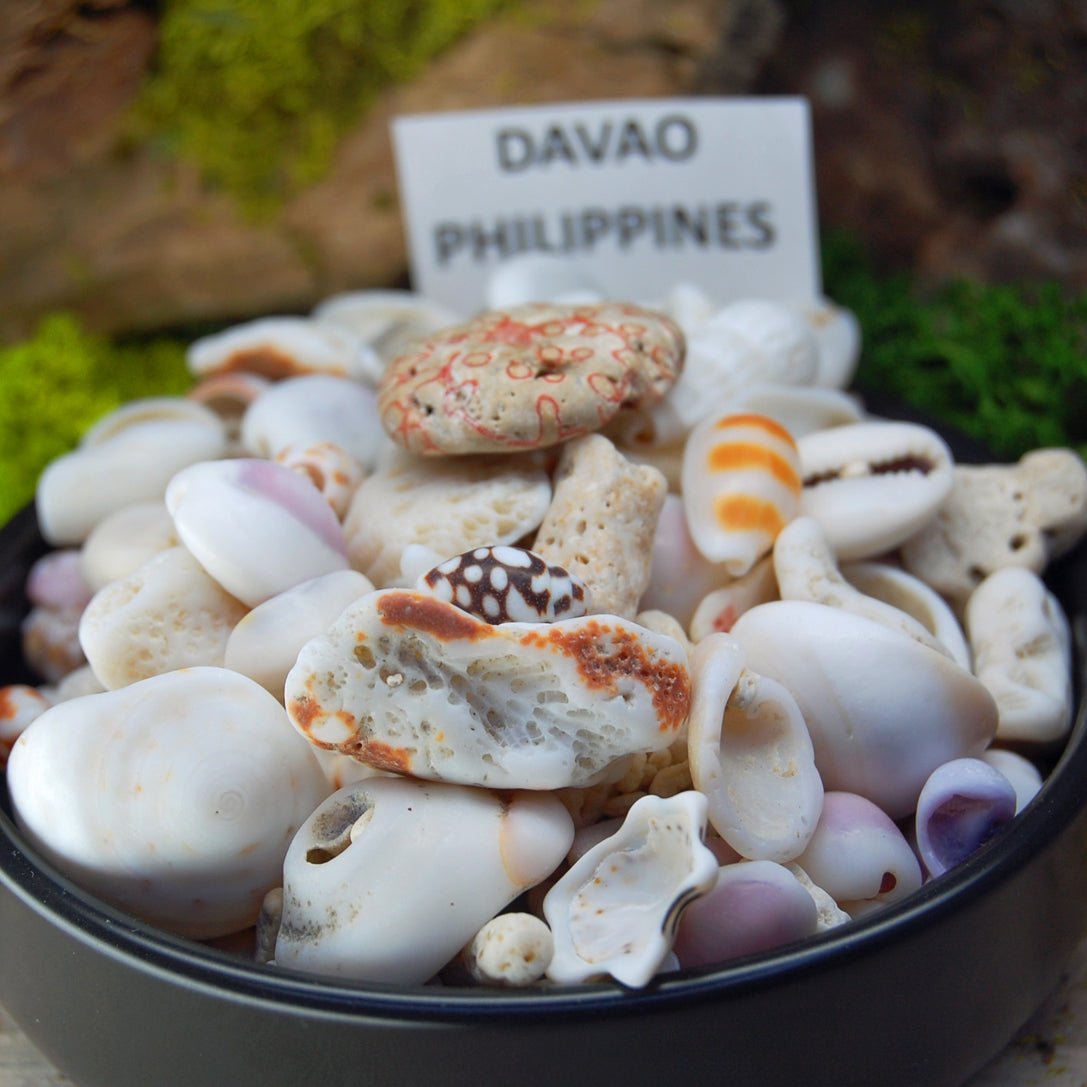 PHILIPPINES Beach Sand Wedding Rings - How Earthy Materials Like Sand, Dirt and Rocks Can Symbolize Your Unique Love Story - Minter and Richter Designs