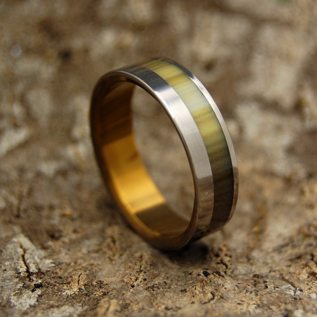 Calypso | Men's Cattle Horn & Titanium Wedding Ring - Minter and Richter Designs