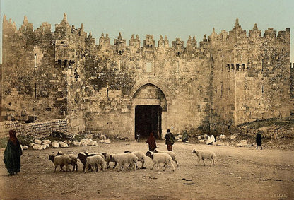 Jerusalem | Ground Stones Of Jerusalem, Armenian Quarter - Unique Wedding Ring - Minter and Richter Designs