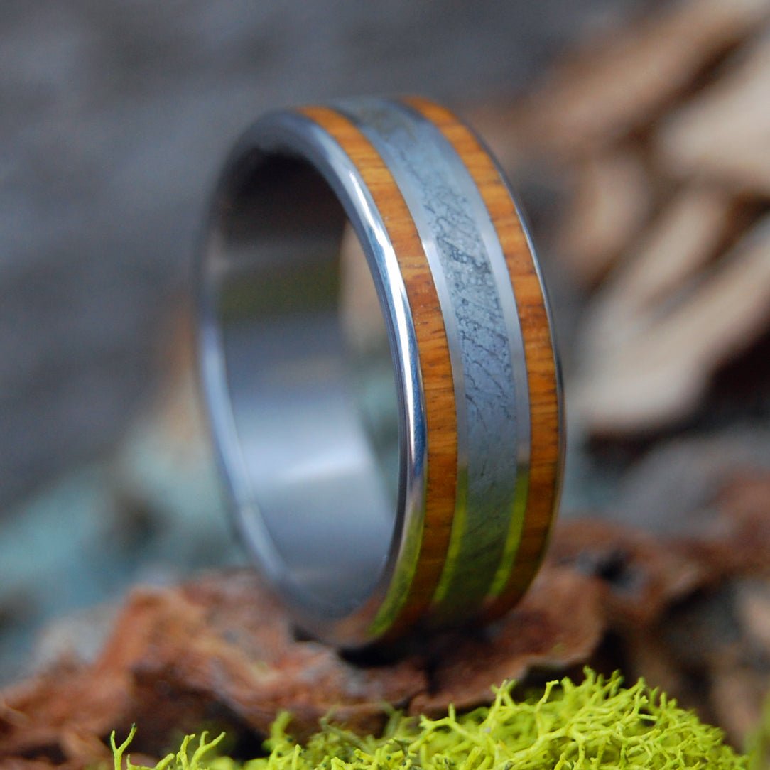 Lignum Vitae Meteorite | Men's Lignum Vitae, Meteorite & Titanium Wedding Ring - Minter and Richter Designs