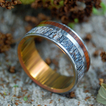 Moose At Sunset | Men's Antler, Wood & Titanium Wedding Ring - Minter and Richter Designs