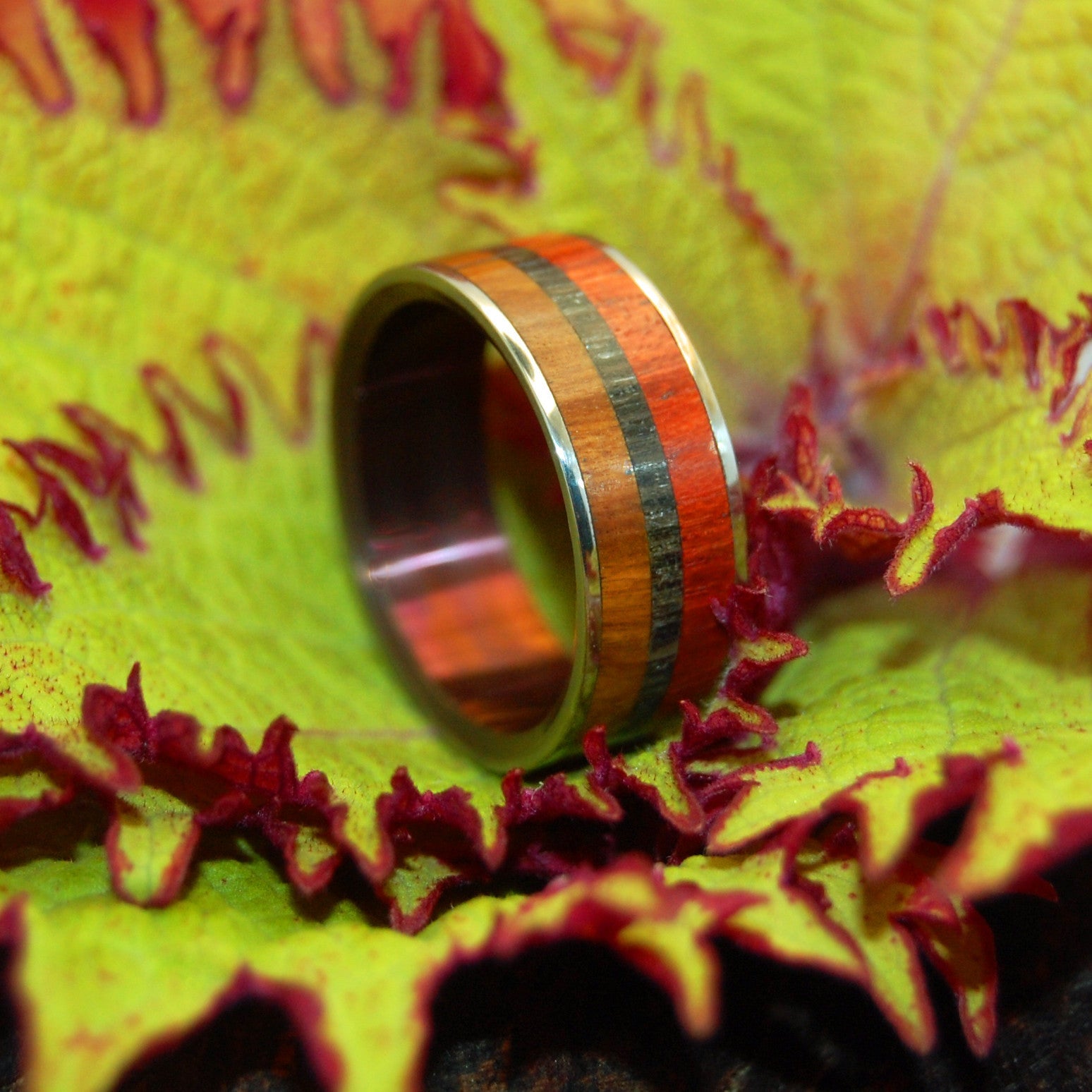 Old Soul | Men's Ancient Woods & Titanium Wedding Ring - Minter and Richter Designs