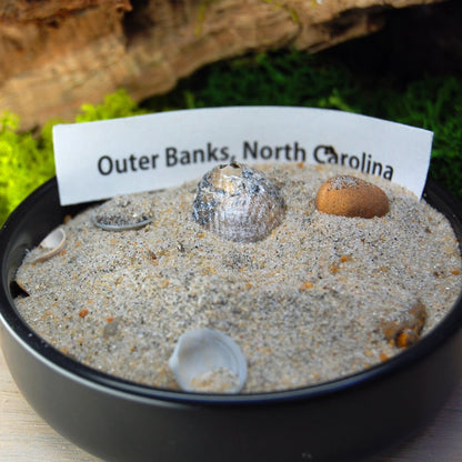 Outer Banks | Men's Outer Banks Beach Sand, Night Sky Concrete Resin & Titanium Wedding Ring - Minter and Richter Designs