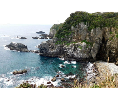 Shikoku Island | Men's Jade Stone, Blue Box Elder Wood & Titanium Wedding Ring - Minter and Richter Designs