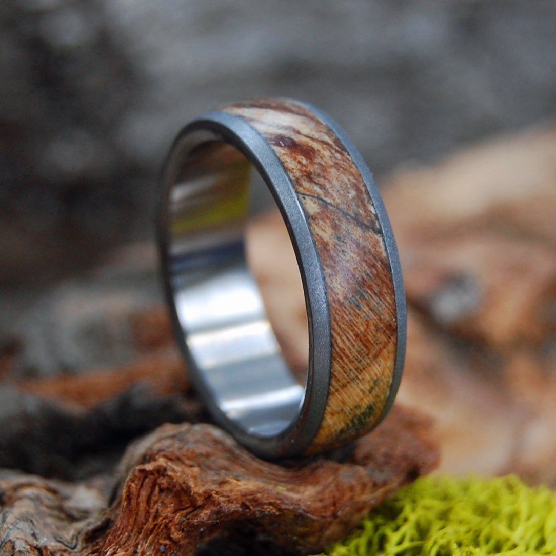 Spalted Dome | Men's Spalted Maple & Titanium Domed Wedding Ring - Minter and Richter Designs