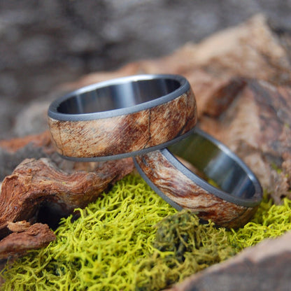 Spalted Domed Set | Amboyna Wood & Titanium - Unique Wedding Ring - Wedding Ring Set - Minter and Richter Designs