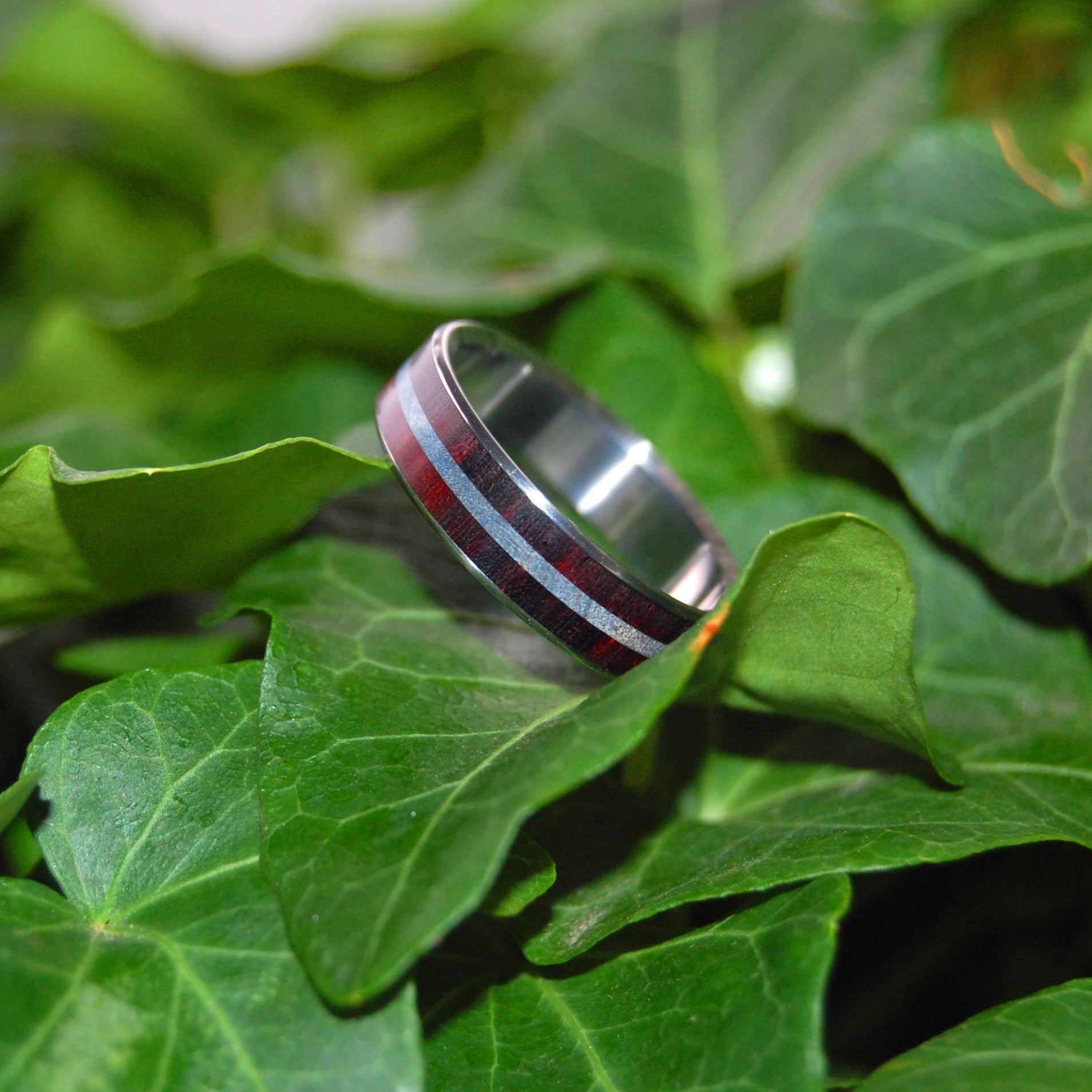 Trust | Men's Rosewood, Blue Maple Wood & Titanium Wedding Ring - Minter and Richter Designs